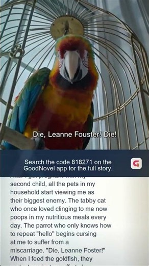 Pregnant With Baby No. 2, and All Our Pets Want Me Dead
