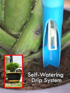 DIY Self-Watering Drip System for Plants or flower | creative explained - #crafts #handmade #art #diy #craft #crafting #creative #craftsman #craftshow #diycrafts #diyideas #diyvideo #easydiy #diys #ideas #tricks #craftstip #smartcrafts #SelfWatering #pvcpipe #Plants | Smart Crafts | Facebook