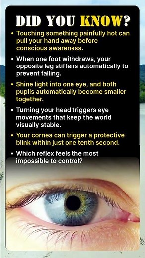 How Your Eyes React Automatically
