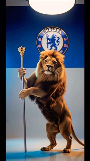 Best Football Club Logo? YOU Decide!