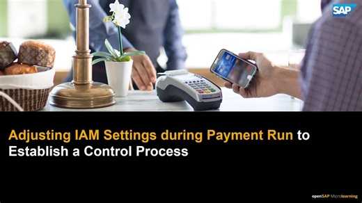 Adjusting IAM Settings During Payment Run to Establish a Control