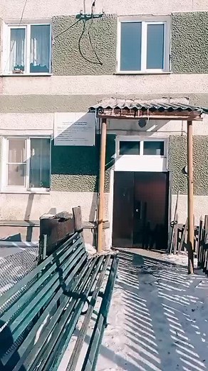 Captivating Snow-Covered Winter Scenes in Nature