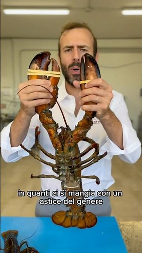 Astice Jumbo, come cucinarlo? #ricette #asticejumbo #astice #asticefresco #ricetta #ricette #astici