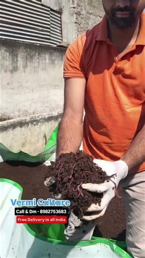 #vermicompost #vermiculture #business #organicfarming #agriculture #fertilizer #gandul #shetkari