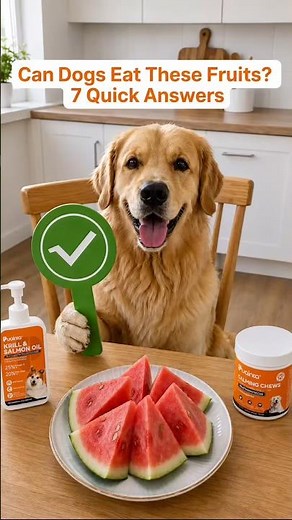 Can Dogs Eat These Fruits?