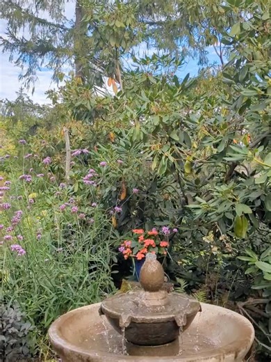 Garden Gate Magazine on Reels