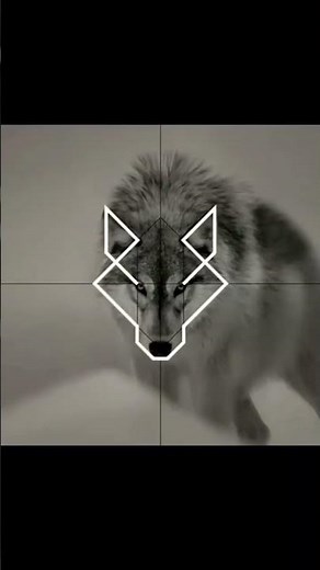 Animal Logo Design Idea | How to create an animal Logo | minimalist Logo Design #logo #animallogo