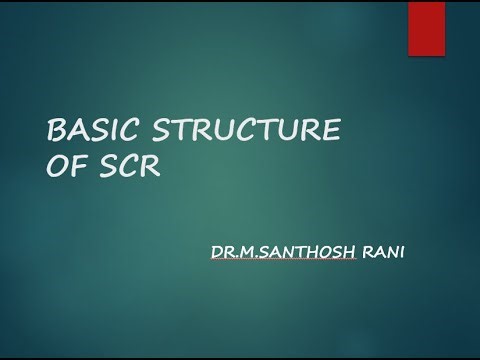 Inside the SCR: Exploring Basic Structure