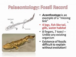 Evolution (Part 2) IB Biology