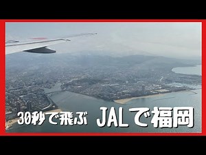 【JAL国内線・羽田空港第1ターミナル】３０秒で行くJAL羽田〜福岡【動画切り抜き】TOKYO Airport
