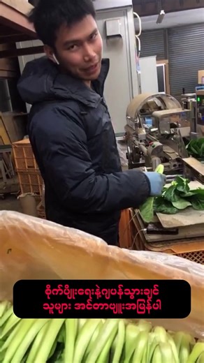 Exploring the Beauty of Yangon: A Travel Guide