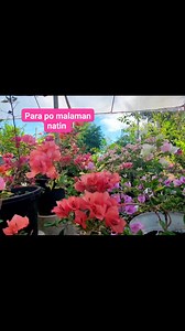 249 reactions · 23 comments | Ugaliing magbasa.Huwag manghusga.. #readandlearn | Josie C. Bugarin | Facebook