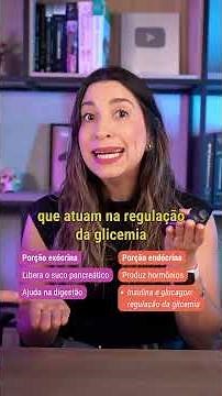 Revisando a ANATOMIA DO PÂNCREAS! ✨
