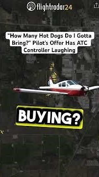 “How Many Hot Dogs Do I Gotta Bring?” Pilot’s Offer Has ATC Controller Laughing
