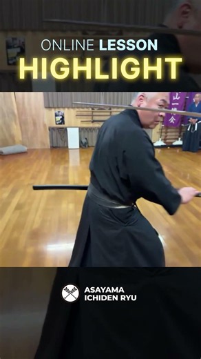 Fighting a Back Opponent with Two Katana #daisho #onlinelessons