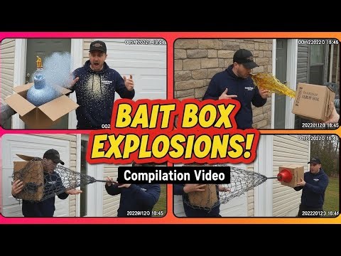 Porch Bait Box Exploded Compilation Videos