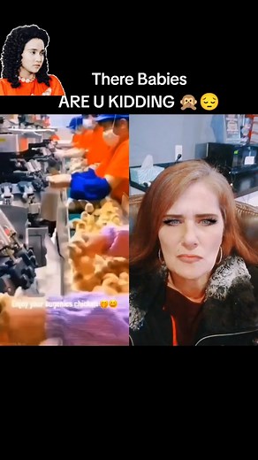 Industrial Chicken Processing Operations Explained