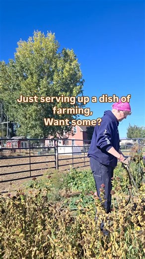 We'll be here.....milking cows, raising calves, moving hay, feeding, running the farm store, shipping soap, running a veterinary practice and who knows what else. Come by and say hello! Store hours: Wednesday: 11 am to 3 pm Thursday: 4:30 to 7:30 pm Friday: 11 am to 1 pm Saterday: 3 to 5 pm. Located in Gooding, Idaho. 🚜 Gallup Family Farms 🐮 raw dairy, farm fresh beef, beef tallow small batch soaps 🛍 Farm store and home deliveries 📍Gooding, Idaho 📞 208- 358- 2027 💻www.gallupfamilyfarms.com