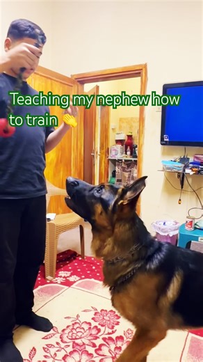 Math German Shepard