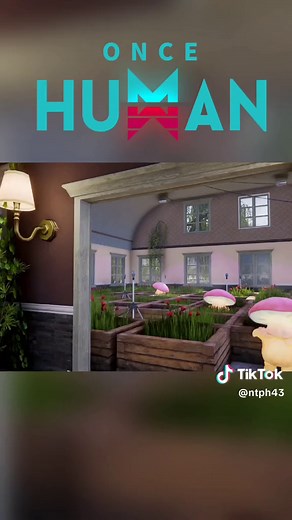 Modern House Design in Once Human Game