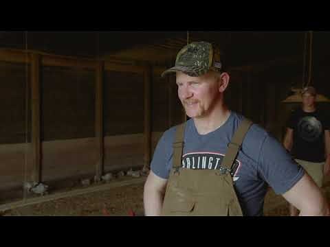 Super Size Me 2 - Holy Chicken Exclusive Clip (2019) Free Range (HD)