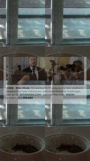 Flirty Birds ｜ Funny Bird Video Compilation 2017 114s