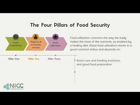 The four pillars of food security
