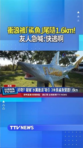 衝浪被「鯊魚」尾隨1.6km! 友人急喊：快逃啊 #衝浪 #鯊魚 #美國