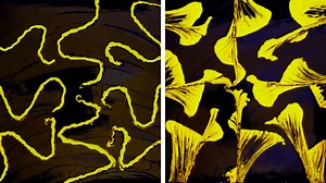 625K views · 1.6K reactions | Mesmerizing painting techniques.  | 5-Minute Crafts Family | Facebook