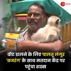 #LokSabhaElections2024 : Person arrives at a polling booth with his pet Langur 'Bajrang', to cast his vote #ElectionOnZee #Maharashtra | Zee News English