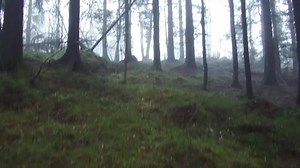 46K views · 886 reactions | LUV U 4 FREE 朗NEW MUSIC VIDEO FREEM1ND - SAY THAT U NEED (Prod. Wolf) Zambia's national Big Brother is back with so much more this 2019. Lets start things like this! May we all be blessed, ambitious and grateful for this upcoming year. To God all the Glory ❤ #NewEra #ItsOkayToStartOver #LuvU4Free #FREEM1ND #ZambianMusic | Freem1nd | Facebook