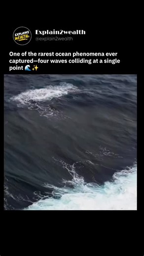 Explain2wealth on Instagram: "Four massive ocean waves collide at a single point—perfectly timed, perfectly aligned 🌊 First spotted by surfers in Australia, this rare wave convergence is believed to be caused by unique seabed geometry that bends and redirects wave energy. Scientists are still studying how such precise collisions form, making it one of the most fascinating natural ocean events ever recorded. Stunning to watch, but potentially dangerous. Follow @explain2wealth 🎥: @chris.whitey #