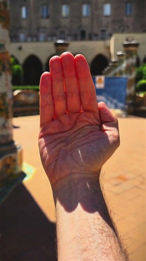 Trick to get the best light for your photos! ☀️✋