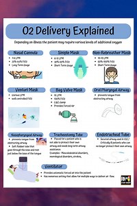 Oxygen Delivery Nursing School Notes, Med Surg Pulmonary Basics, O2 Delivery Master the Basics and With These Nursing Cheat Sheet - Etsy