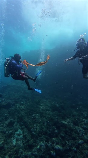 Underwater haircuts soon 😅 #creatorsearchinsights #fyp #784