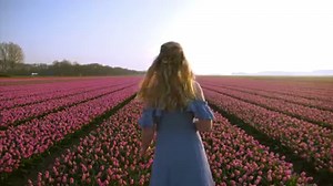 Bunte Tulpenfelder, wo man nur hinschaut! In der Provinz Flevoland befindet sich das größte Blumenzwiebel-Anbaugebiet Hollands und das lässt sich aus der Luft natürlich am besten erkennen. Im Tulpenpflückgarten kann man sich sogar seinen selbst zusammengestellten Tulpenstrauß mit nach Hause nehmen. | Besucht die Niederlande