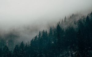 【微软朗读】访戴天山道士不遇