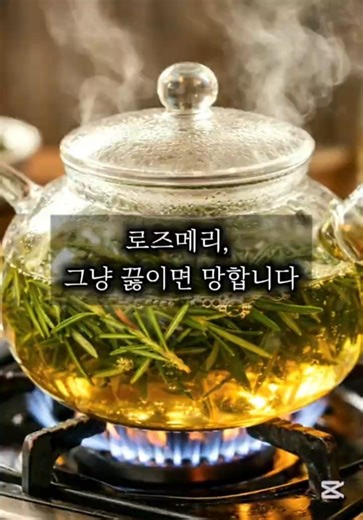 로즈메리, 그냥 끓이면 망합니다 #로즈메리차 #허브차우리기 #허브차끓이기 #차공부 #행담차문화원 #차로행복담다 #차맛있게마시기