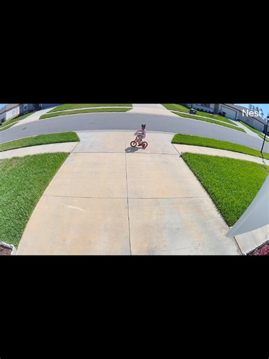 She even gave him a head start. #onlyinflorida #floridawildlife #securitycamera #AIVideo #gophertortoise