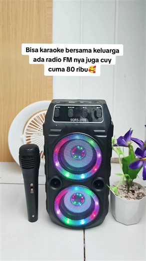 Karaoke Portable Speker Bluetooth untuk Keluarga