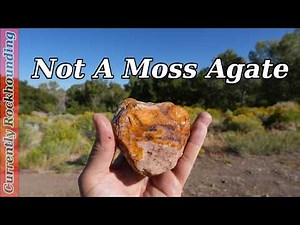 The Government Got This Location Wrong