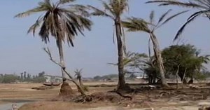 Over 100 Islands In Sundarbans Face Existential Threat As Sea Level Rises |