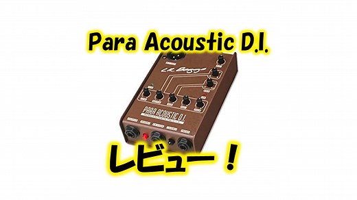 L.R.BAGGS Para Acoustic D.I.をレビュー！どんな音？どんな人におすすめ？