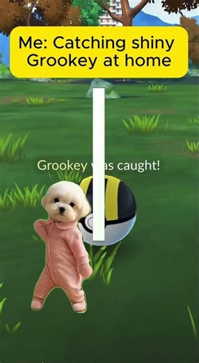 Unlock Shiny Grookey in a Flash