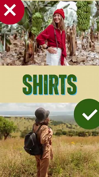 #1 African Safari Packing List 🦁 Must-Have Essentials for Your Adventure 🧳 Go While You Can!