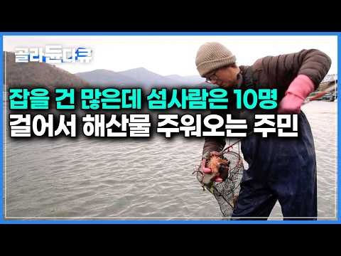 Knee-deep in the ocean, an islander hand-harvesting seafood for tonight's dinner ｜Korean Travelog...