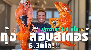 4.1M views · 165K reactions | กุ้งล๊อบสเตอร์ยักษ์ 6กิโล!! กับ ปูทาราบะ 4 กิโล สดแบบเป็น เป็น !! | seazonebkk ------------------------ ใครสนใจอยากลอง https://www.facebook.com/SeaZoneBKK ☎️ 094-879-5959 IG: seazonebkk Line: @seazonebkk https://lin.ee/O3fxOyYH | สเตฟาน Stephan | Facebook