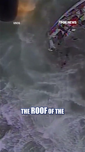 WATCH: US Coast Guard rescues sailor from SINKING ship #shorts #us #news #foxnews #coastguard