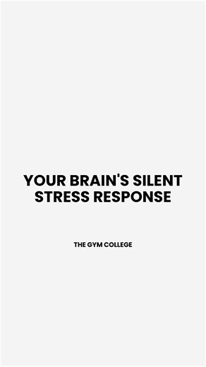 The Gym College on Instagram: "You might not consciously feel stressed, yet your body can be quietly operating in a state of high alert. These unseen physiological patterns, from a clenched jaw at night to reaching for your phone upon waking, directly shape your nervous system's baseline. Fortunately, understanding these subtle triggers empowers you to intervene with simple, science-backed habits that cultivate genuine calm. 👉🏼 Follow @thegymcollege for daily, research-informed content on whol
