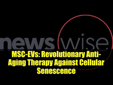 MSC-EVs: Revolutionary Anti-Aging Therapy Against Cellular Senescence